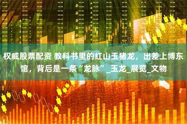权威股票配资 教科书里的红山玉猪龙，出差上博东馆，背后是一条“龙脉”_玉龙_展览_文物